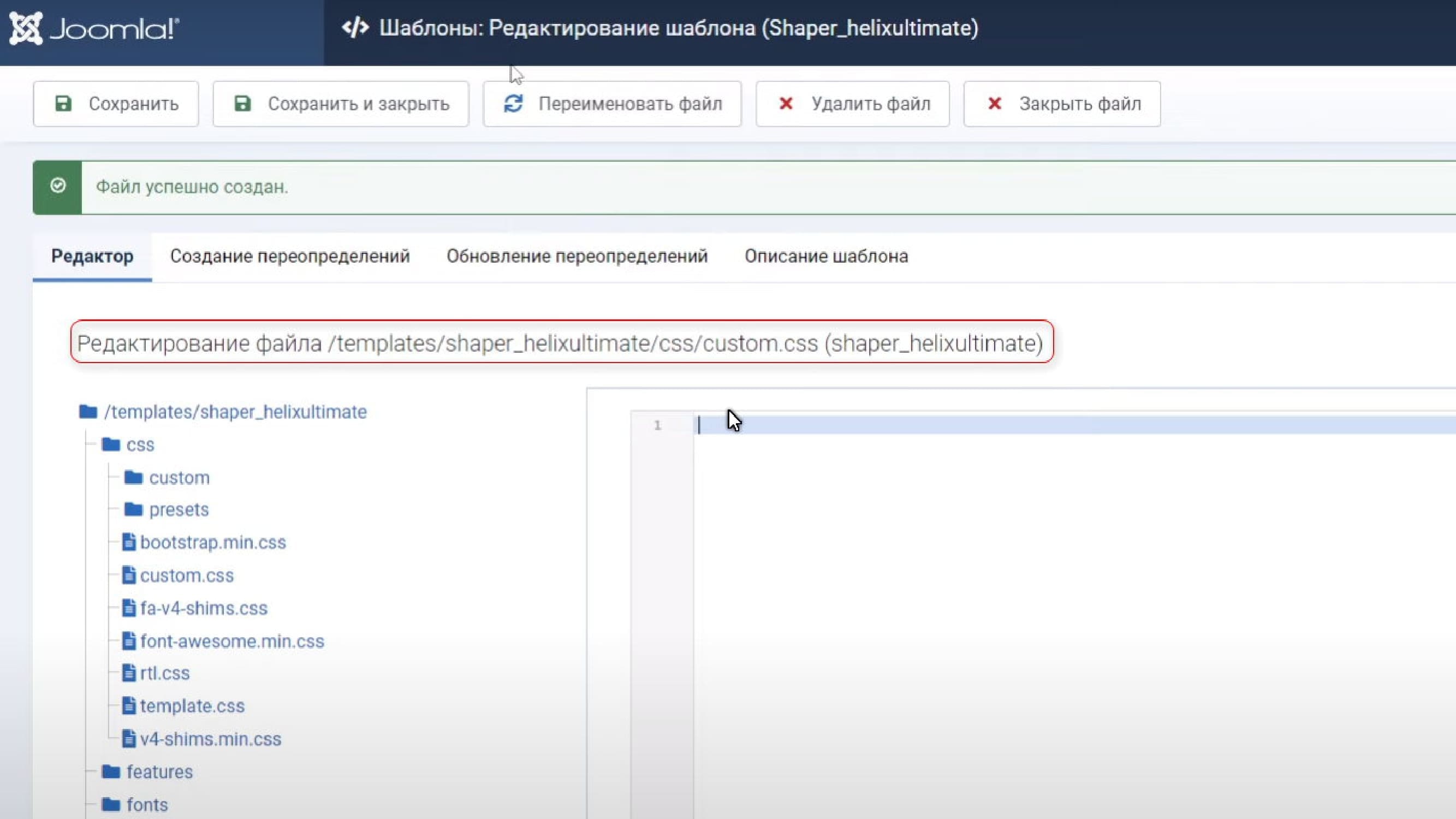 kak dobavit fajl custom css v shablon helix ultimate joomla bez dostupa k khostingu 4 7b28b